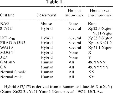 Image result for HTML/CSS Incomplete Coding