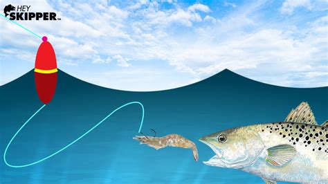 Fish Method に対する画像結果