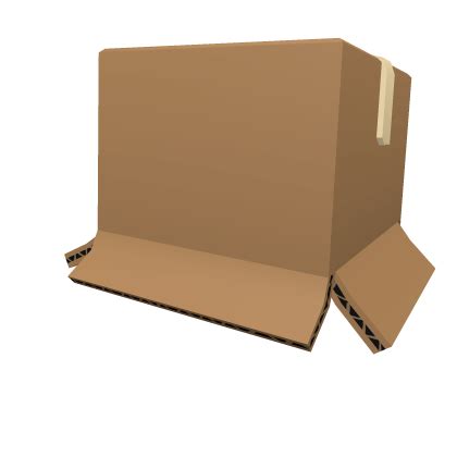 Afbeeldingsresultaten voor Roblox Box Hat