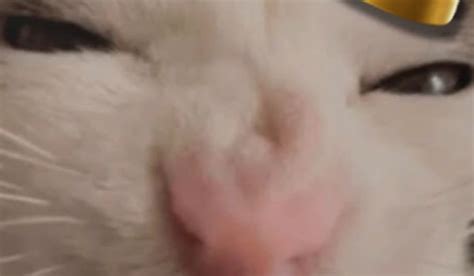 Afbeeldingsresultaten voor Fortnit Medkit