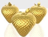 Pojo Diagram に対する画像結果