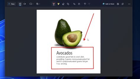 Snipping Tool Logo Windows 11 に対する画像結果