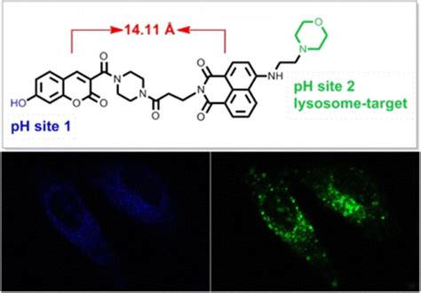 Toradh íomhá ar Chemical Engineering Science