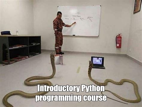 Toradh íomhá ar Introductory Python Meme