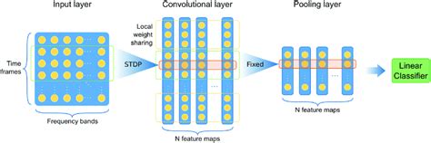 Image result for Spiking Neural Network SNN