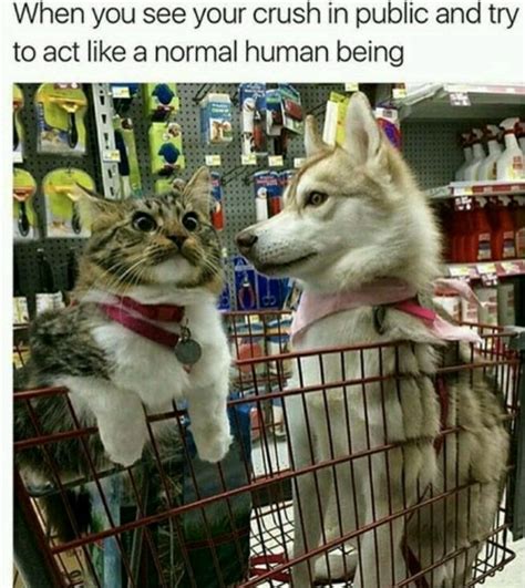 تصویر کا نتیجہ برائے Spongebob Awkward Meme