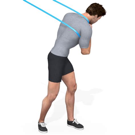 Corkscrew Core Exercise Regression に対する画像結果