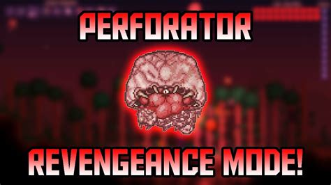 Image result for Perforators Calamity