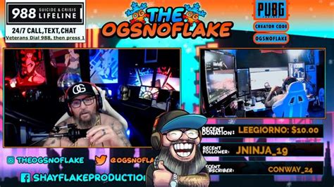 Image result for Ecoblitz Streamer