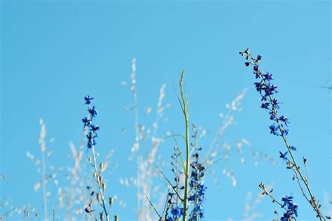 DDP Pytorch Image के लिए छवि परिणाम