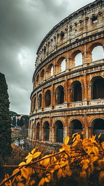 Toradh íomhá ar Java Icon Wallpapper