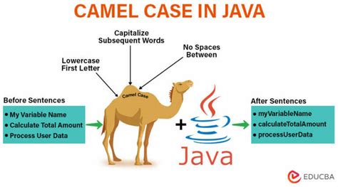Image result for CamelCase Java