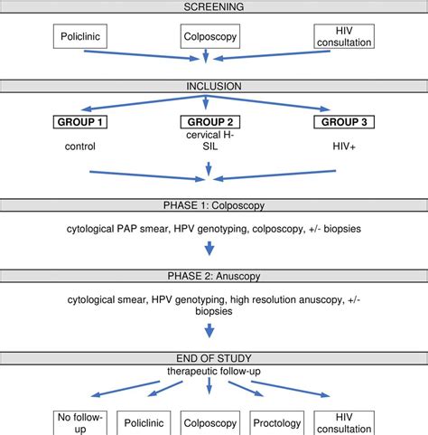 Image result for Research Protocol Flow Chart