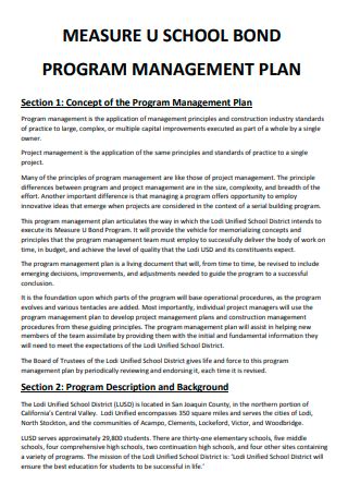 Image result for Program Management Plan Template