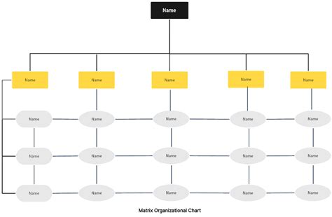 Image result for Organizational Structure Chart Maker