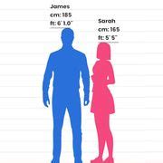 Image result for Height Comparison On Java