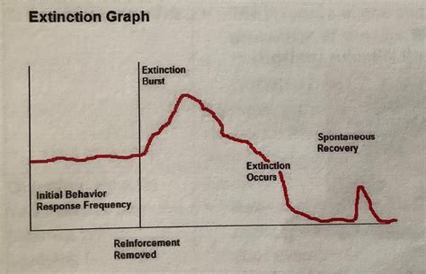 Image result for ABA and ABC Context Extinction