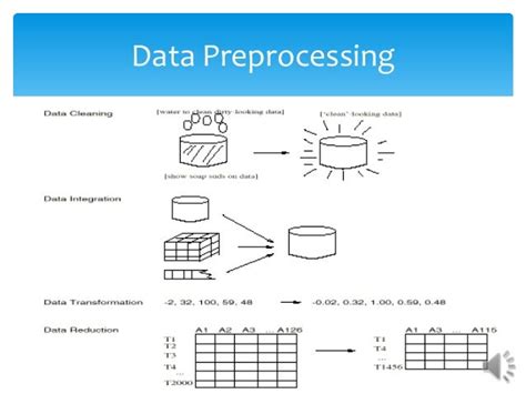 Preprocessing Data From API Example に対する画像結果