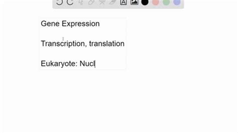 Image result for Stages of Gene Expression