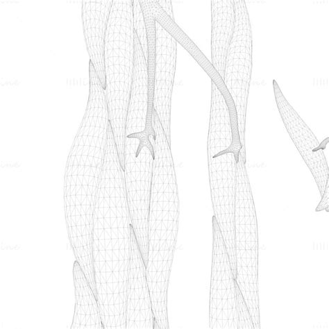 Image result for Smooth Muscles Animated