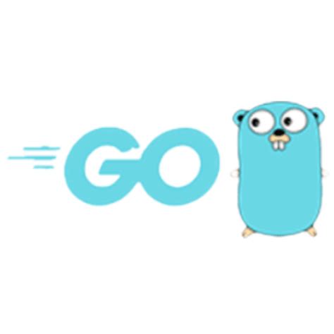 Image result for Golang Startup Flow