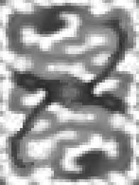 Image result for Scroll Art Height Map