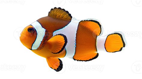 Image result for Transparent Snapping Fingers