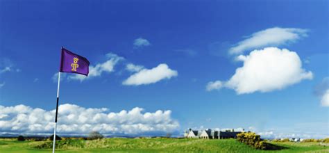 Image result for Golf Course Flags
