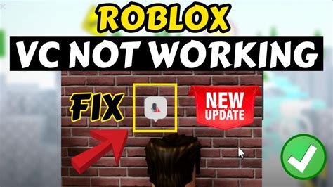 Image result for Why Isn't Vc Working in Roblox