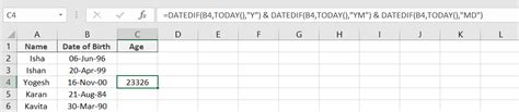 Image result for How to Formulate Age in Excel