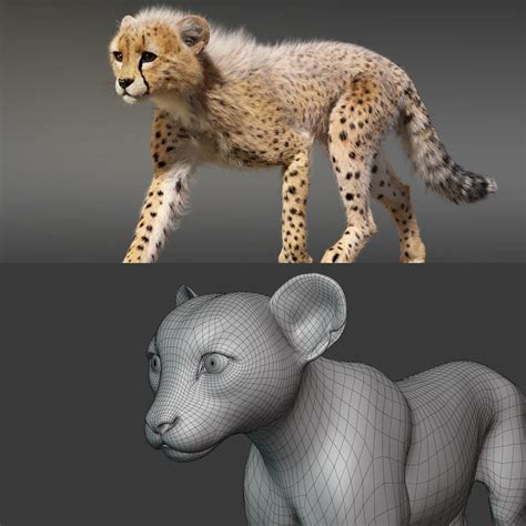 Image result for Fur Blender Model Roblox