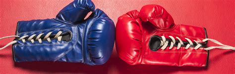 Toradh íomhá ar Creation vs Evolution