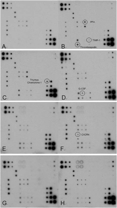 Custom Protein Microarrays-साठीचा प्रतिमा निकाल