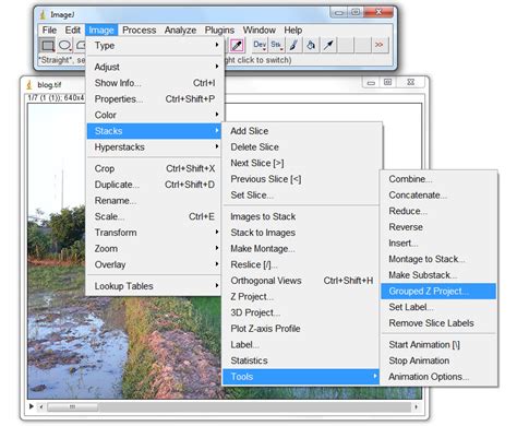 Image result for ImageJ Plot Profile Stack