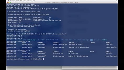 Docker Create Ubuntu Container Command に対する画像結果