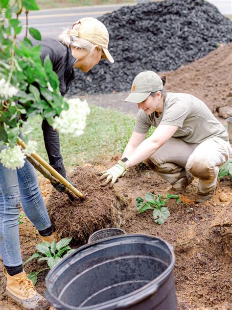 Image result for Planting in Landscape Construction