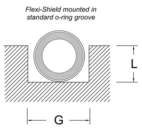 Image result for FlexNet Shield