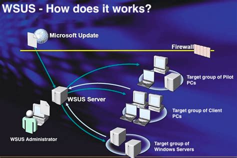 Image result for Using Microsoft WSUS