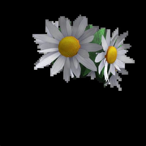 Toradh íomhá ar Flower Accessory Code Roblox