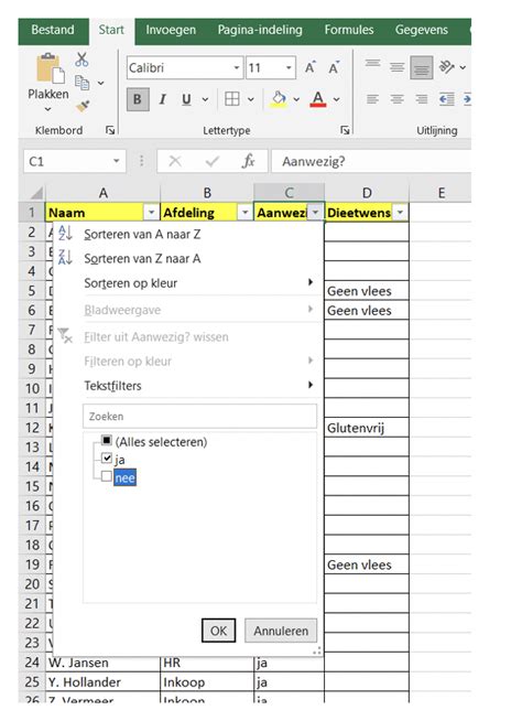 Image result for Hoe Filter Je in Excel