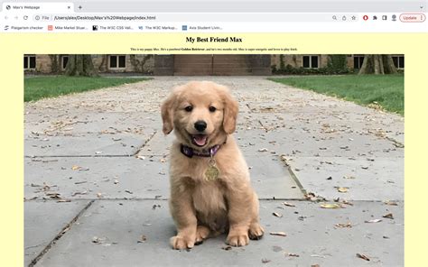 Image result for Webpage without CSS