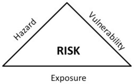 Image result for Health Hazard Triangle