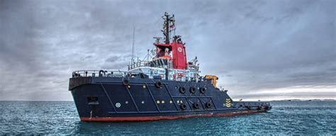 Image result for Logo Boluda