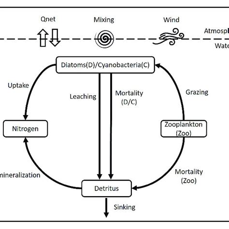 Physical Model Biology に対する画像結果