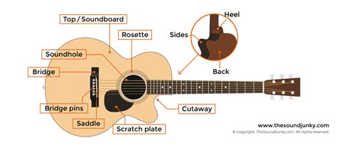Image result for 12 String Guitar Labeled Diagram