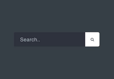 Input Search CSS に対する画像結果