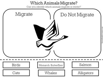 Image result for Migration Worksheet