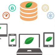 Image result for MySQL Con MongoDB PNG