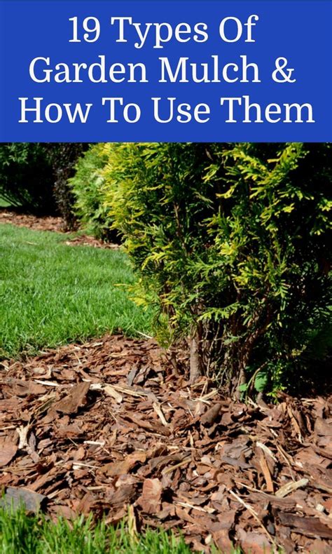 Image result for Best Mulch Types