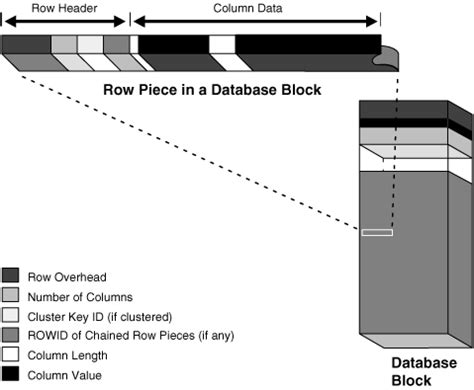 Toradh íomhá ar Schema and Objects Oracle DB Image